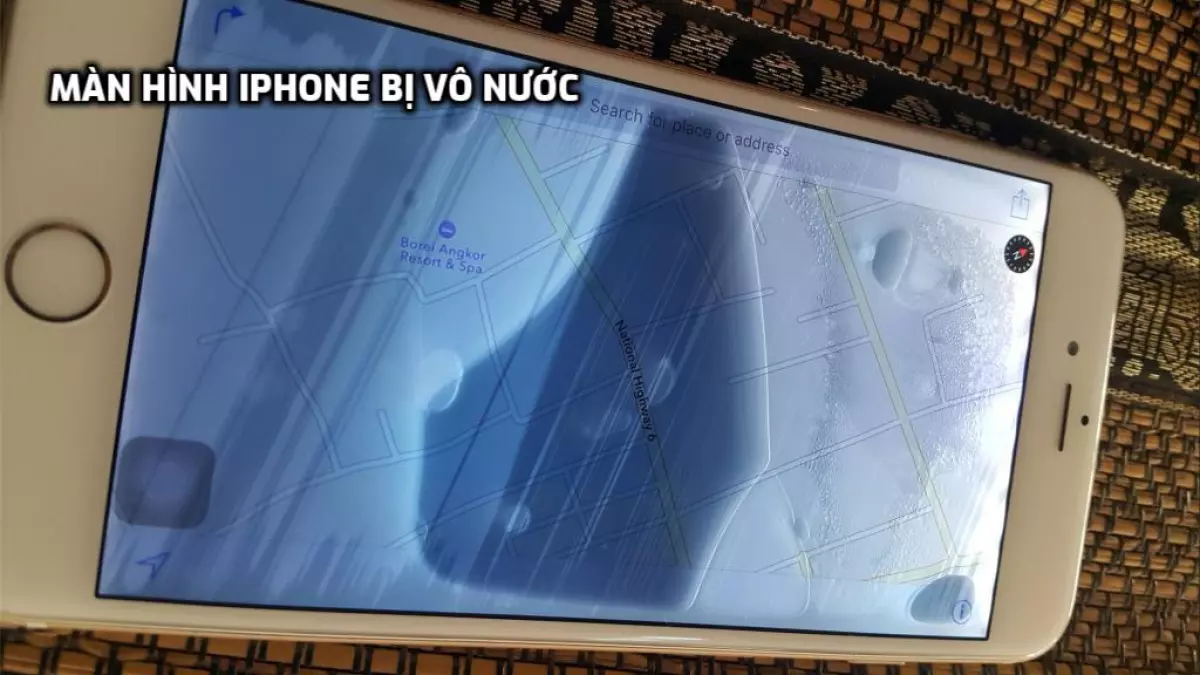 Màn hình iPhone bị ngấm nước gây hư màn hình nếu không sử lý kịp thời