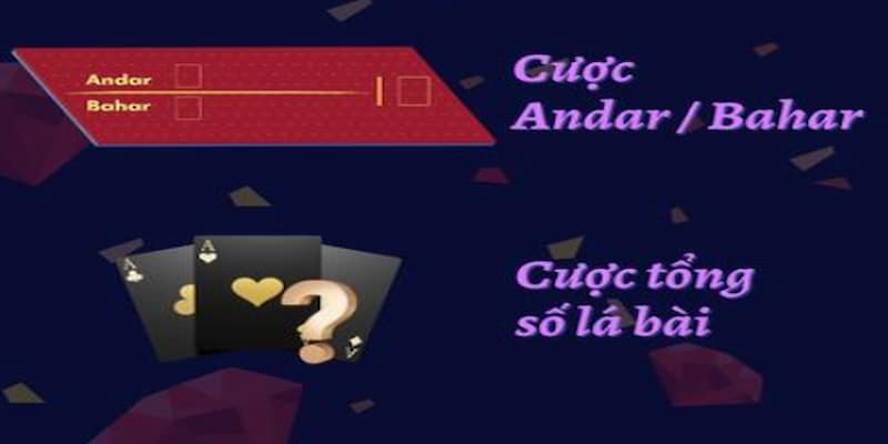 Tổng hợp các cửa cược xuất hiện trong game bài Ấn Độ