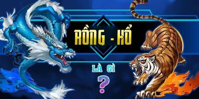 Tìm hiểu về game bài Rồng Hổ