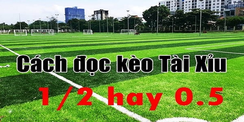 Tìm hiểu chi tiết kèo tài xỉu ½